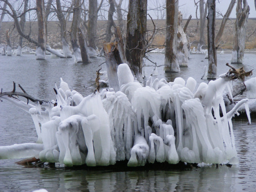 usagov: Image Description: When the air is cold at Waubay National Wildlife Refuge but the lake isn&