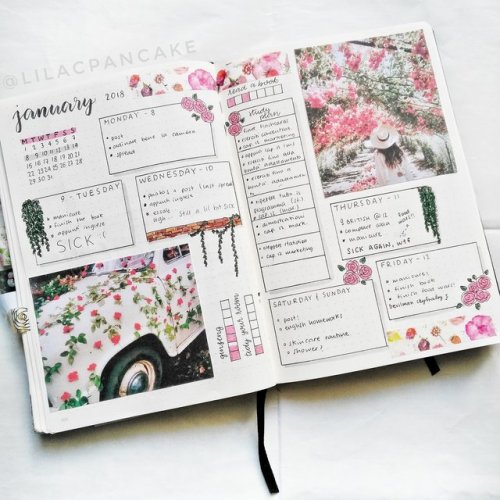 lilacpancakejournal: I wish I could post more frequently sigh For any news or more spreads, you can 