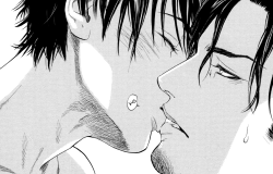 yaoifunlife:    Kobi no Kyoujin    