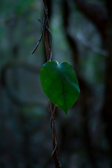 PhoTones Works #4052 by PhoTones_TAKUMA on Flickr.