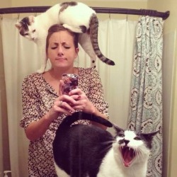 fuckyeahfuncats:  “What’s it like living with cats?”