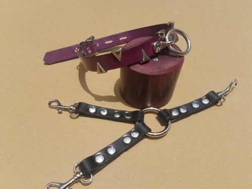 dominionleathershop:A customers order is complete.  A collar with teeth in Deep Violet with a 3 point tether with spring clips!