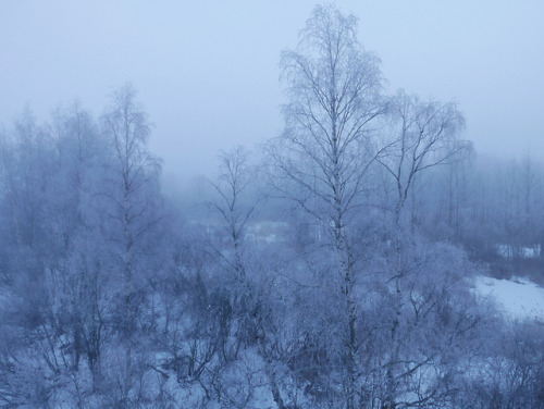 Fog by Juha Haataja