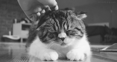 oh yeah&hellip;that&rsquo;s the spot&hellip;right there&hellip;don&rsquo;t