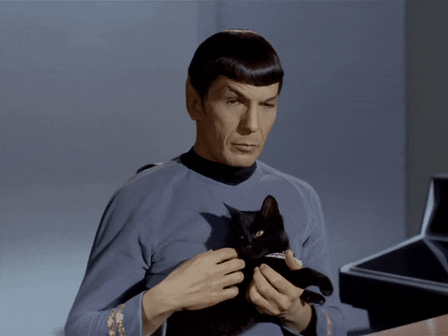 Spock With A Cat🥺