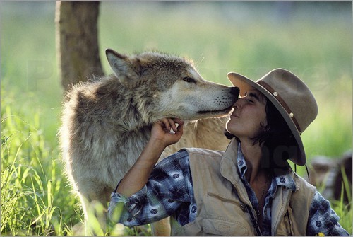 wonderous-world:  Wolves get a bad rap in folklore, but Jim and Jamie Dutcher spent