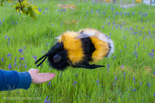 sanageyamaa: babytarantula: magweno: GIANT PET BEES NOW AVAILABLE!www.etsy.com/uk/listing/23