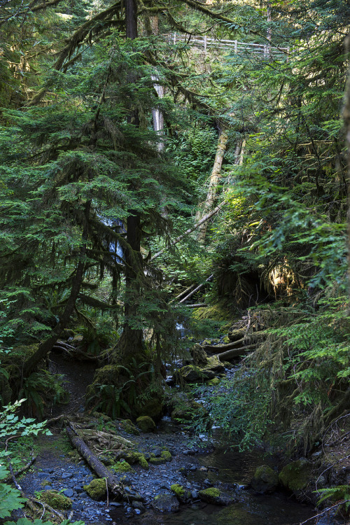 just-breezy: Stream. by Elliot Norwood