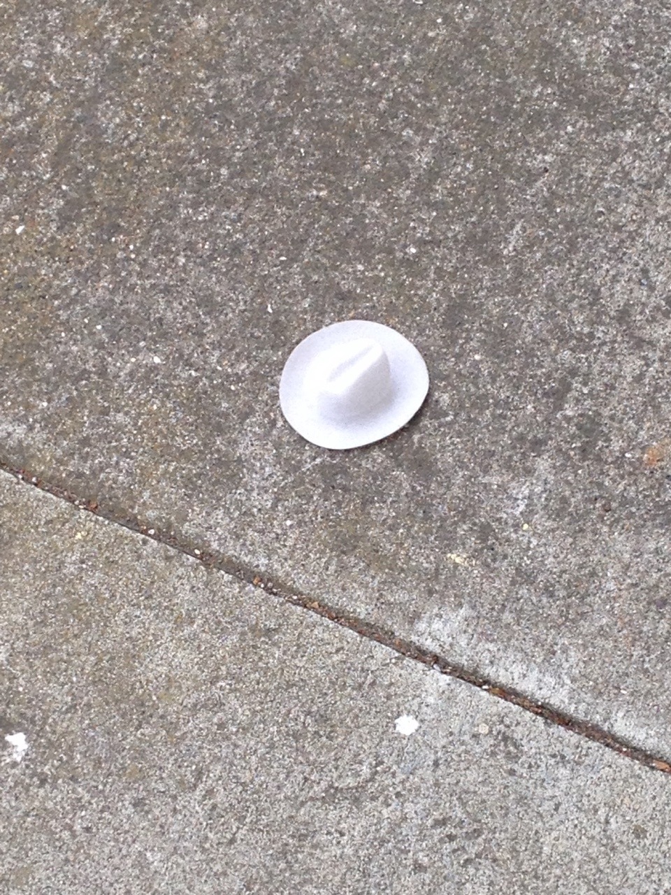 spacephantom:  important finds outside my apartment this morning: one small tiny