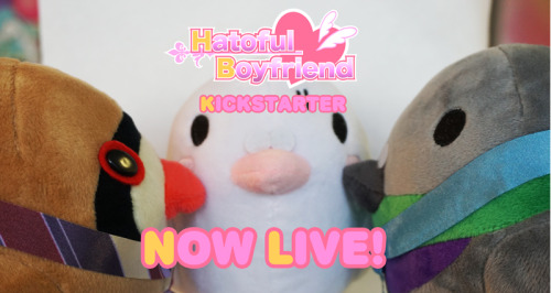 coelasquid:moa810:Now LIVE! HATOFUL BOYFRIEND OFFICIAL PLUSH PROJECT https://www.kickstarter.com