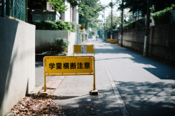 amanotomoki:  横断注意 