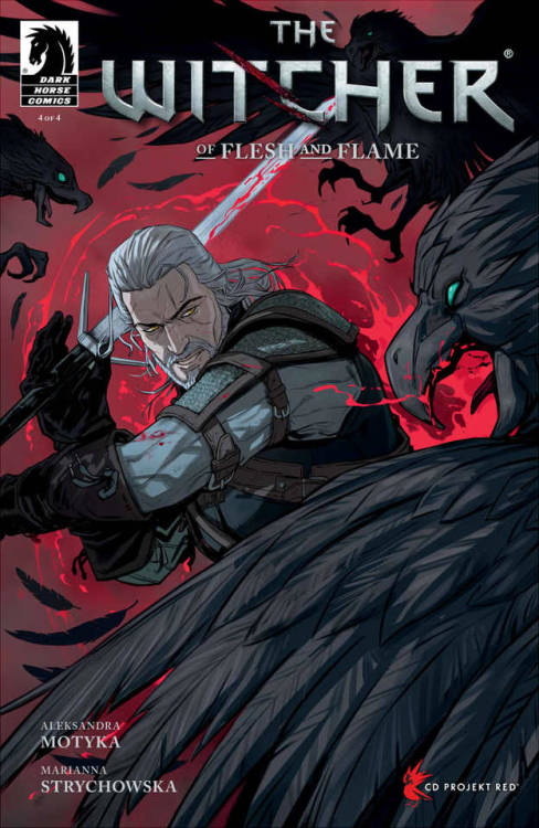 The Witcher Of Flesh and Flame 2-4 covers