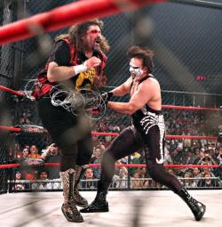 fishbulbsuplex:  Sting vs. Mick Foley  Why