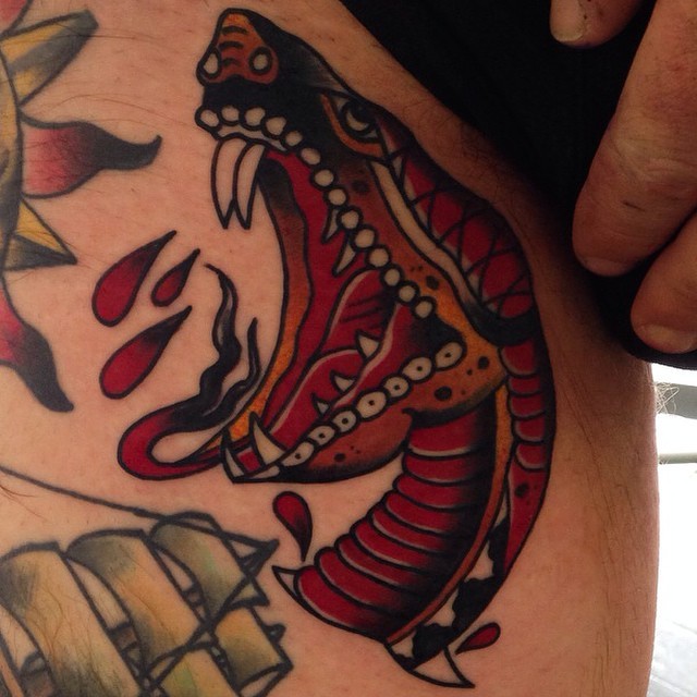 eagledaggerrosepanther:  Mikey Sharks @mikeysharks