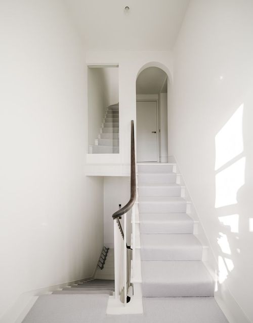 architorturedsouls: Eccleston Street House / Salem . Chipperfield