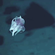 prideslime: horror bix / x / x | x / x / x | x / x / x