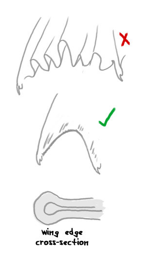 Featured image of post Dragon Wings Drawing Reference