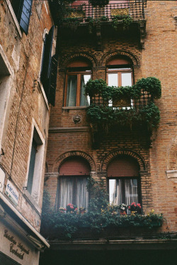  plasmatics: Venice ~ By Tijana Jovanovic »