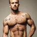 bruce66stuff:masculinitydefinition::Http://masculinitydefinition.tumblr.comHot bearded  and furry  men 
