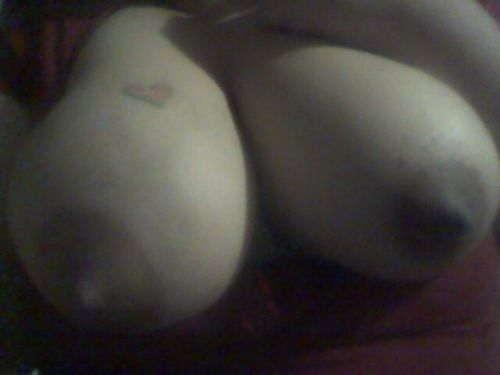 exgflatinascuties:  Gladis from Mission Viejo! Submission! Jamesg9@ymail.com hittem up  Pretty awesome dark areolas!!