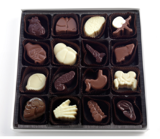 helenofdestroy:  box set of chocolate anatomy, $30.95 at visual anatomy limited