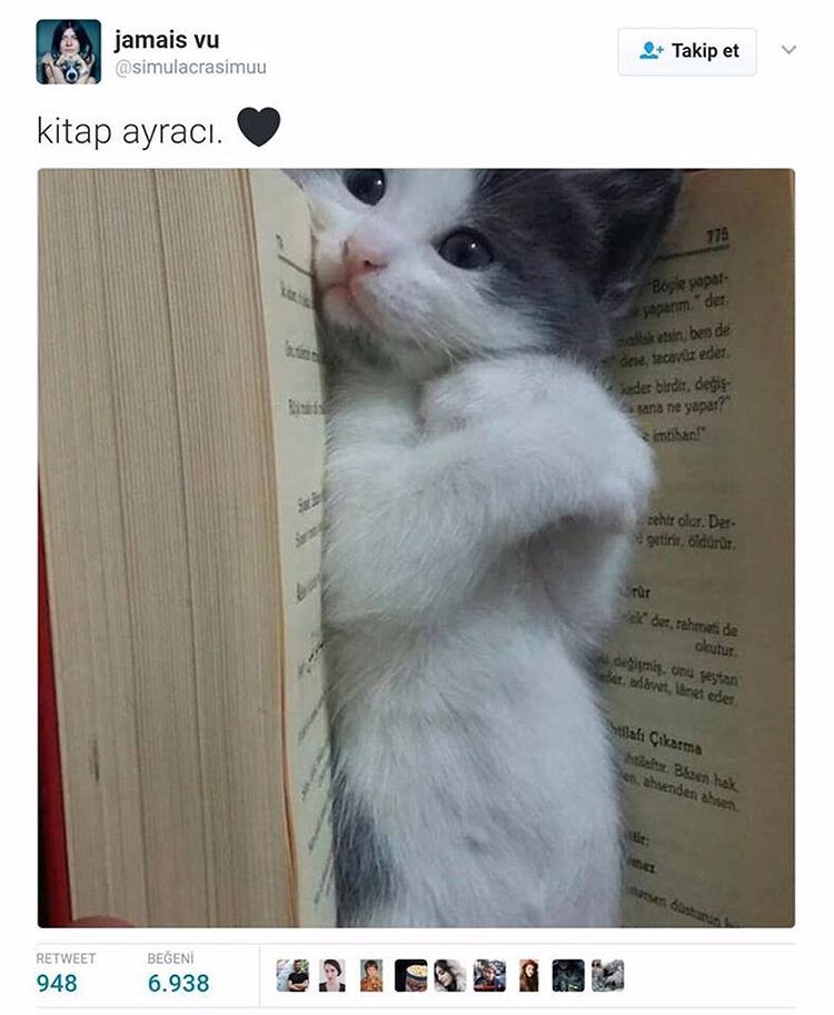 kitap ayracı