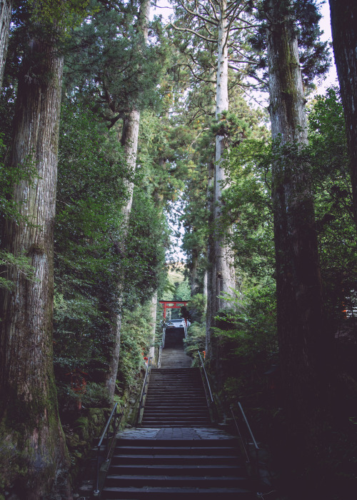 masanoritsuchiya: Trip on Hakone | 箱根神社