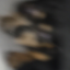 mothhs
