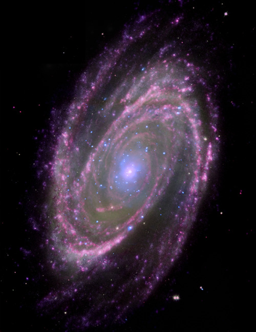 atomstargazer: Black Holes Have Simple Feeding Habits This composite NASA image of the spiral galaxy