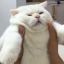 floomage