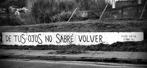 accionpoeticaenchile:  “De tus ojos no sabré volver”Acción Poética en Chile (Osorno) 