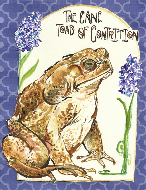 I was designing some apology cards, and I just had to use Cane Toads for their grumpy old man faces.