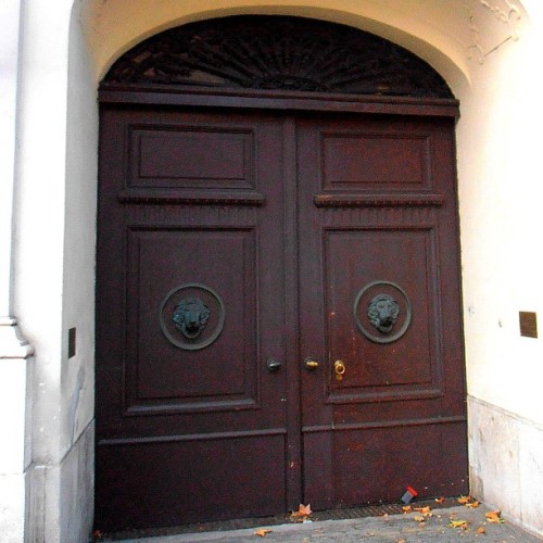 old doors beautiful in its simplicity with fancy lion&rsquo;s head knockers in Vienna  vi