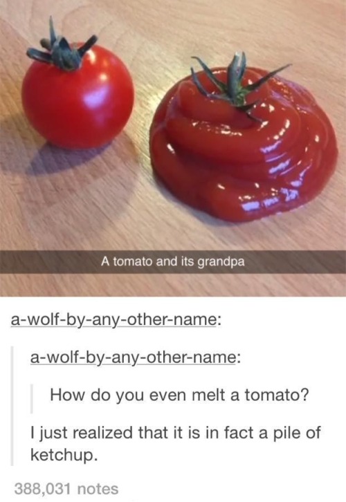 makeuphall:The 32 Dumbest Things That Happened in 2015:  Melted tomato…