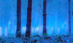 bagginshield:  All we have to decide is what to do with the time that is given us.