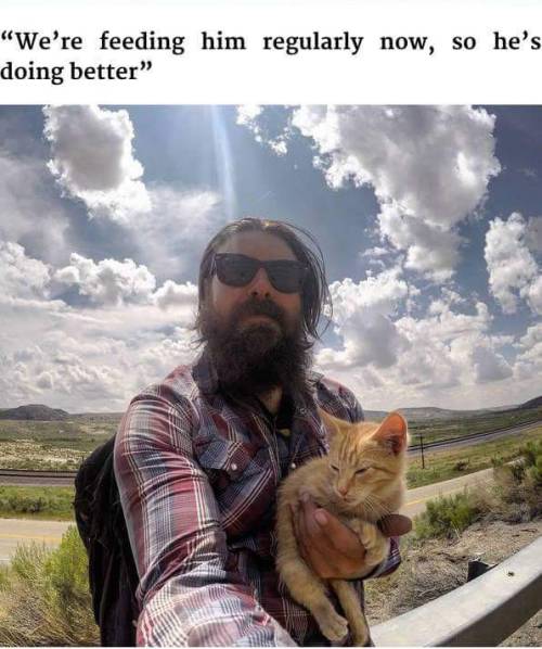 petermorwood:  daemonysh:  This is too much adorableness <3<3<3  I’ll reblog this every time I see it, because there’s something about burly beardy bikers giving help and companionship to a small hurt kitten that makes the world a little