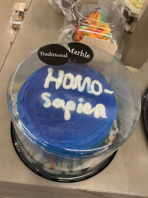 Went To The Grocery Store Today And I Was Very Pleased By Their Pride Cake Selections