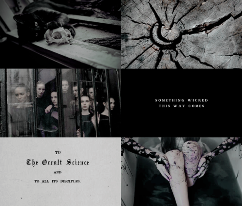 drogonqueen:creatures of the night ☆ witchesA witch ought never to be frightened in the darkest fore