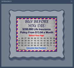 grawly:  grawly:  Tumblr implementing early 2000′s advertisements but theres no way to actually incorporate them into the website’s theme/identity without it all falling apart so of course the next best tactic is to put a giant ugly picture frame