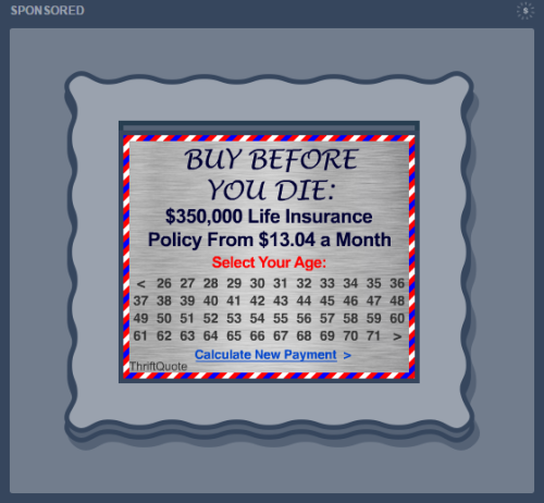 grawly:grawly:Tumblr implementing early 2000′s advertisements but theres no way to actually incorpor