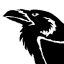 cyber--raven