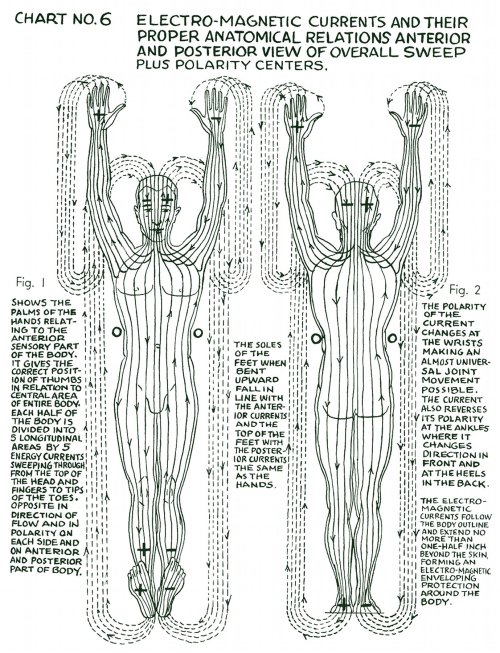 metanoia-world:  Polarity Therapy  Charts 1-10 &ldquo;The Wireless Anatomy of Man&