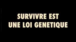 Seul Contre Tous (Gaspar No)