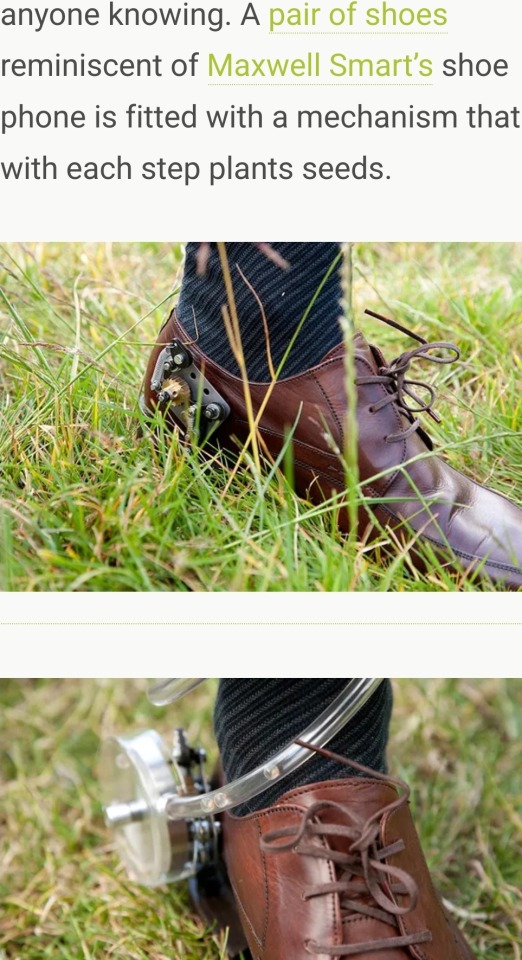 Hi! I'm Looking To Start Guerrilla Gardening And You Seem Like You'd Know About That So I Wanted To Ask,