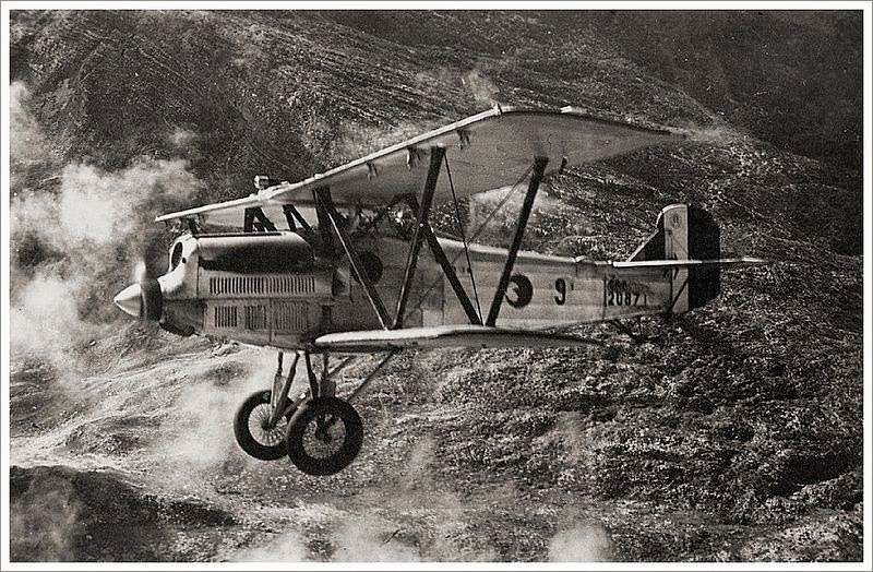 Fiat C.R. 20 Asso 