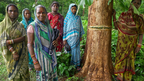 Armed with sticks and machetes, the women of Ghunduribadi — a small village in eastern In