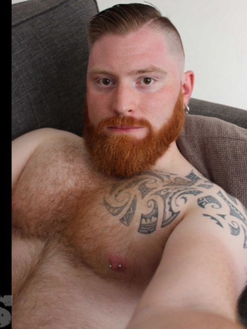GINGER beard tattoo guy