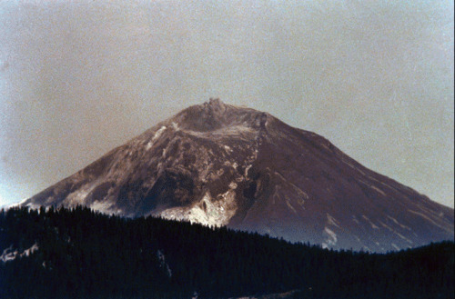 nevver:On this day, Mount St Helens