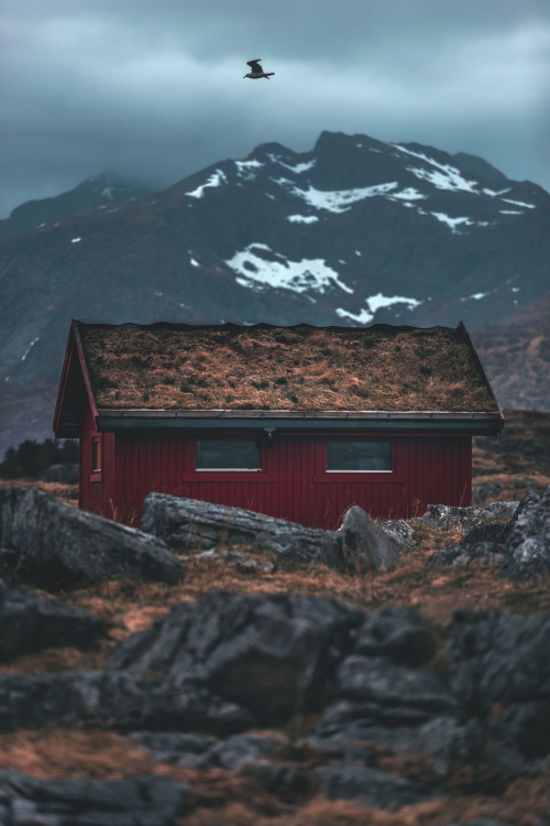 dennybitte:  Lofoten / Norwayby Denny Bitte