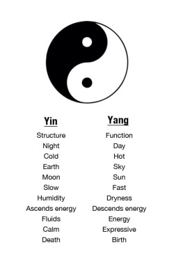 ly-ghts:  I am yin, he is my yang. My sun and sky, the energy that keeps me going, he is my other half. 